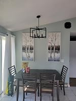8-Light Modern Chandelier Metal Geometric Chandelier photo review